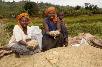 Soil, seed investment key to Africa's food resilience