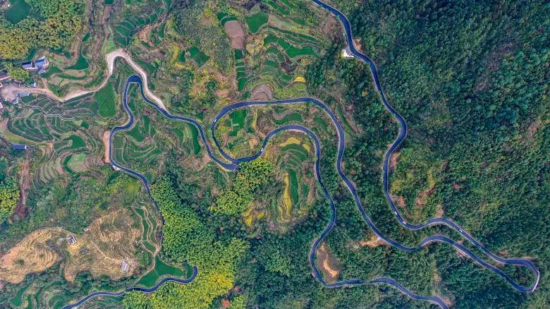 入选全国典型案例!浙江松阳召寨线铺就乡村共富路